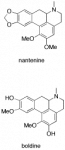 untitled.png