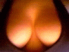 boobs00.gif