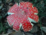 dscn4558.jpg