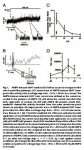 figure1.jpg