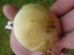 DSC05435.jpg