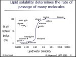 soluble-pirating.jpg