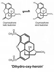 dihydro-oxy-heroin 800x600.JPG