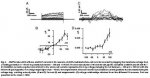 figure3.jpg