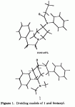 Driding Models.GIF