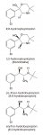 Metabolites_of_bupropion.png