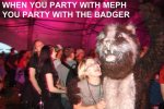 mephbadger.jpg