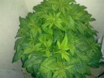 24022011155.jpg