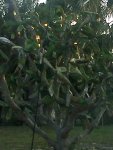 052011193432.jpg