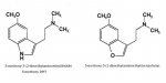 indole vs benzofuran.jpg