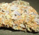 Molokai_Frost_Up_close.jpg
