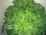 24022011150.jpg