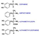 Aldomet dopamine and others.JPG