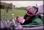 count.jpg