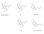 other-aromatics-PHE.jpg