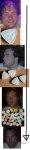 HeuvertStrip.jpg