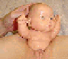 867780-baybee_21075_18380.gif