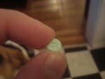 DSC01198.jpg
