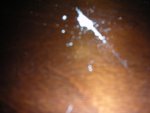 DSCN0648.jpg