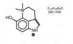 dehydrobufotenine.JPG