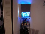 resized small reef tank.jpg