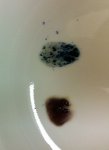 IMG_0368.JPG