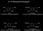 2C-D analogues.jpg
