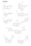 new-PHE-T 2.jpg