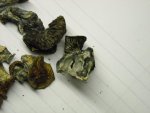 DSCN1639.jpg