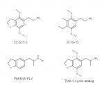 2cg analogs.jpg