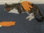 Pictures2009-2109 032.jpg