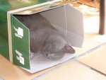 Bluey's Box.jpg