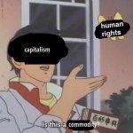 52265920_2313603698861632_4744959807105007616_n.jpg