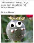 73357399_991477351189585_3110718209741815808_n.jpg