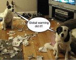 FB_IMG_1573608056905.jpg