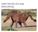 74277303_1028160764187910_5319927306653794304_n.jpg