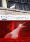 18279