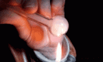 tenor.gif