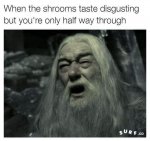 60342550_883284948675493_2754786006405218304_n.jpg