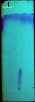 18663