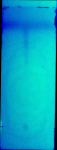 18669