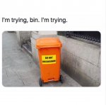 csdxs.jpg