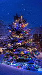 13BE6D25-119A-4BD4-8462-249C4BF259A3.gif