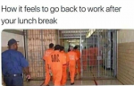 20392
