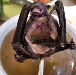 bat-soup.png