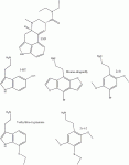 7-sub-tryptamine.GIF