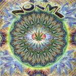 NORML.jpg