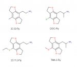 fly-structures.jpg