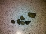 2010-02-04 18.28.55.jpg