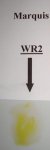 mar_wr2.jpg